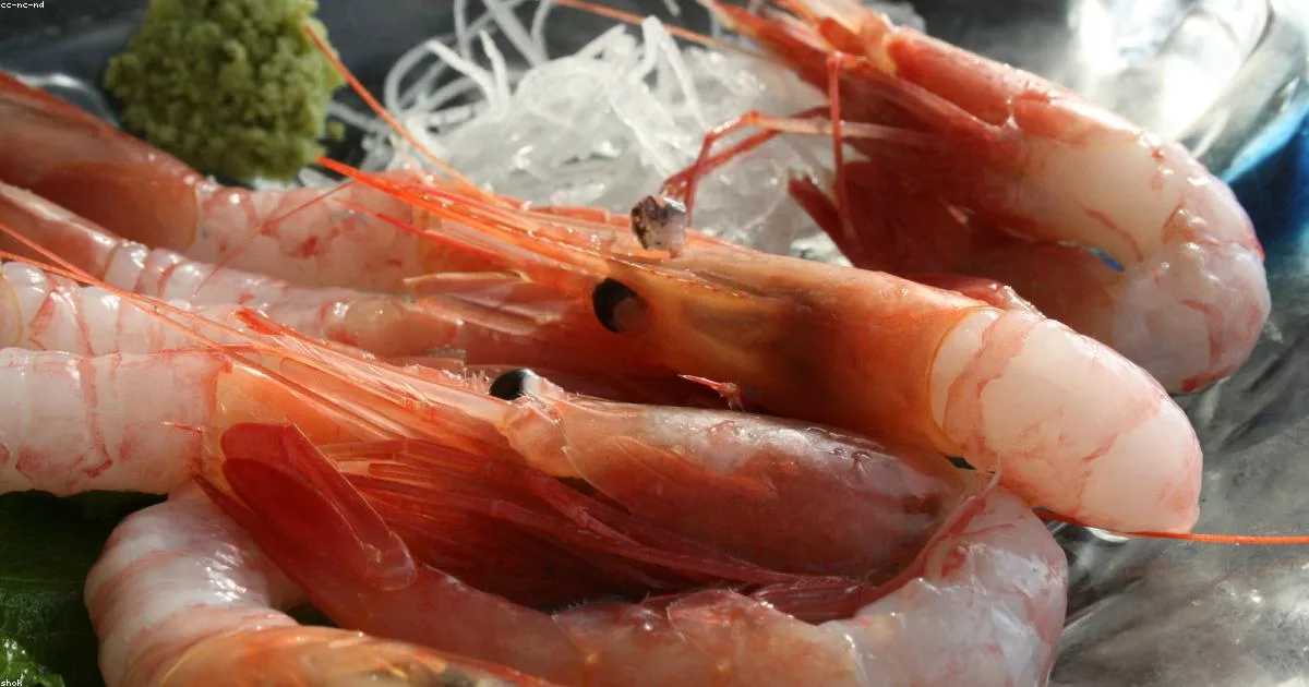 ฮอกไกโด seafood คู่มือ(มาหมู่ มื้อเย็น) ดึก