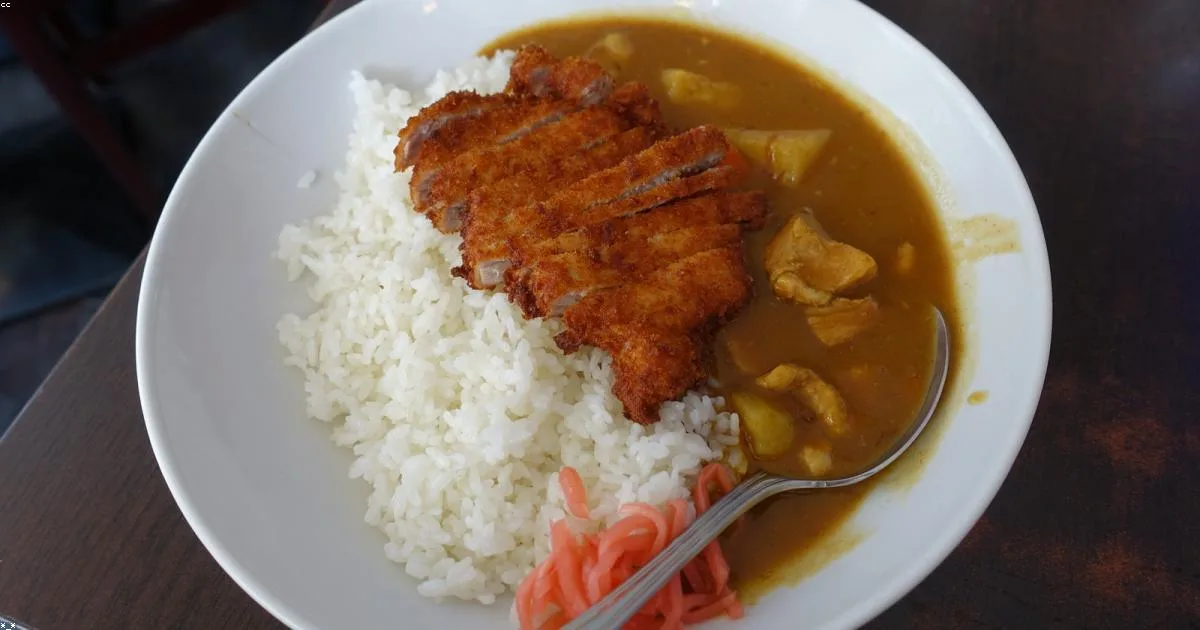 ฮอกไกโด soup curry คู่มือ(มาหมู่ มื้อเย็น) ดึก