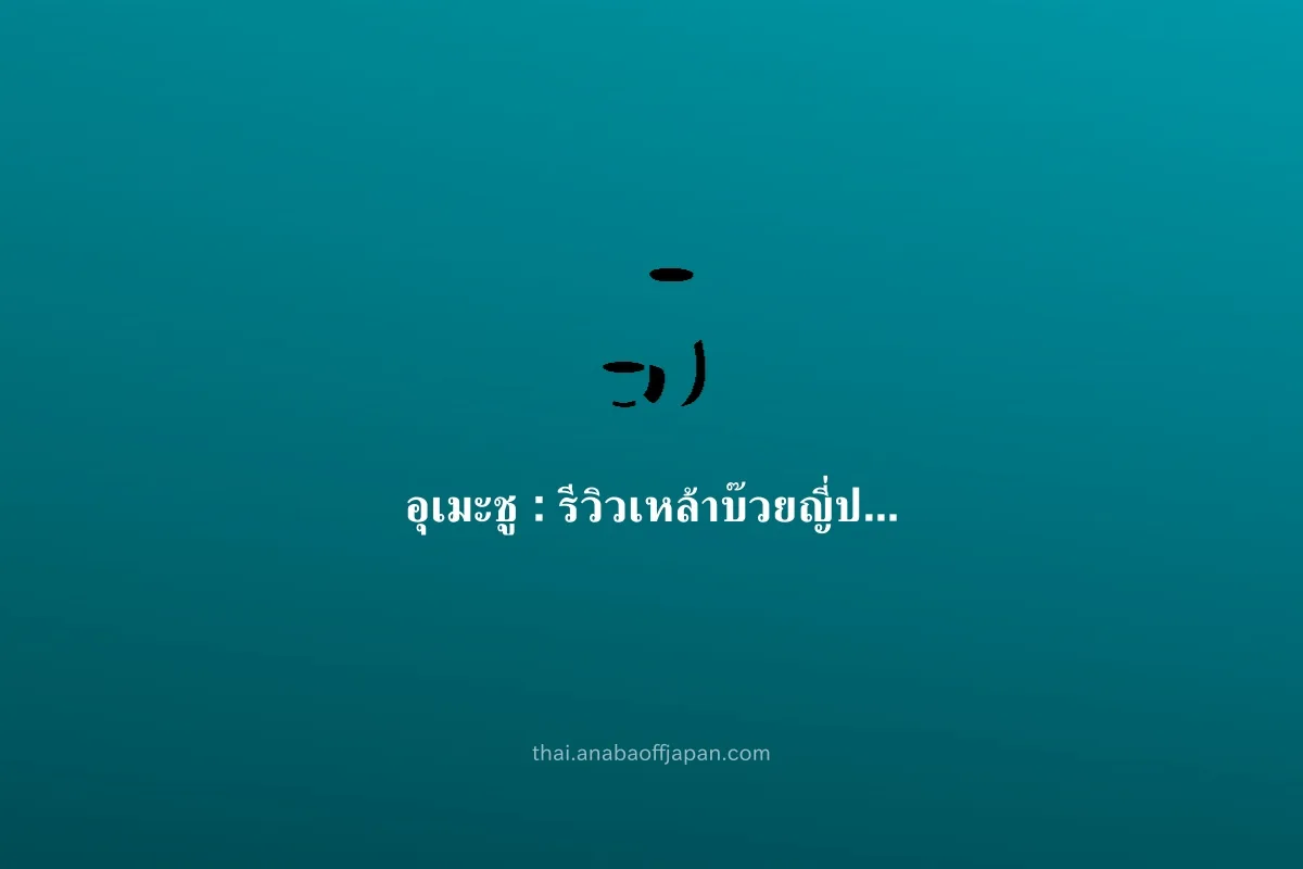 อุเมะชู คู่มือ(กินคนเดียว มื้อเย็น) ไม่ต้องจอง ดึก