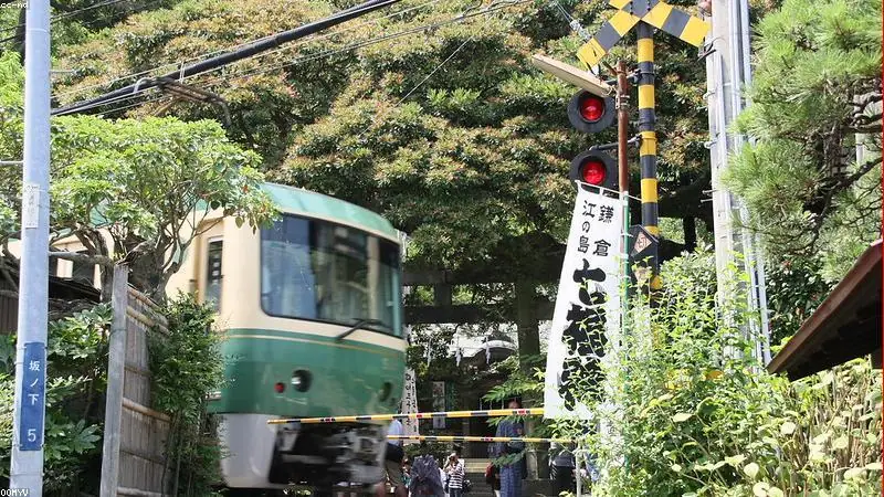 พาสฮาโกเนะ คามาคุระ (Hakone Kamakura Pass)